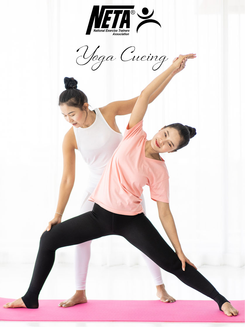 Yoga Cueing NETA National Exercise Trainers Association