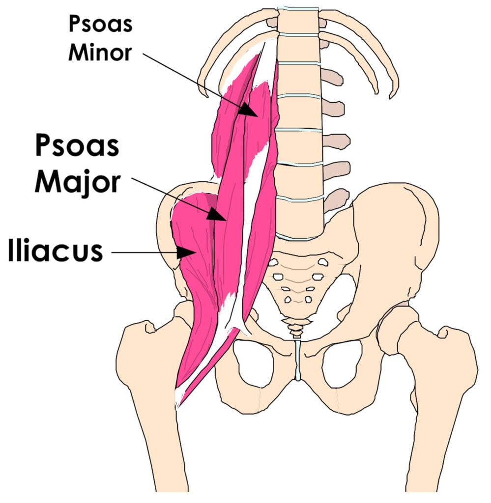 tight-hip-flexors-can-cause-lower-back-pain-knee-pain-and-foot-pain